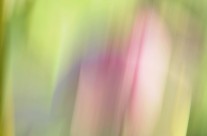 Art 03