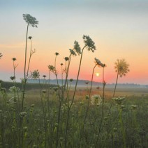 Art Photography