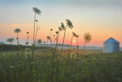 Art Photography