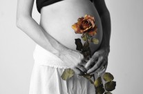 Pregnancy 02