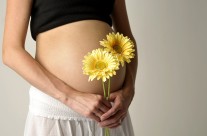 Pregnancy 03