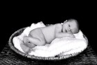 Babies 29