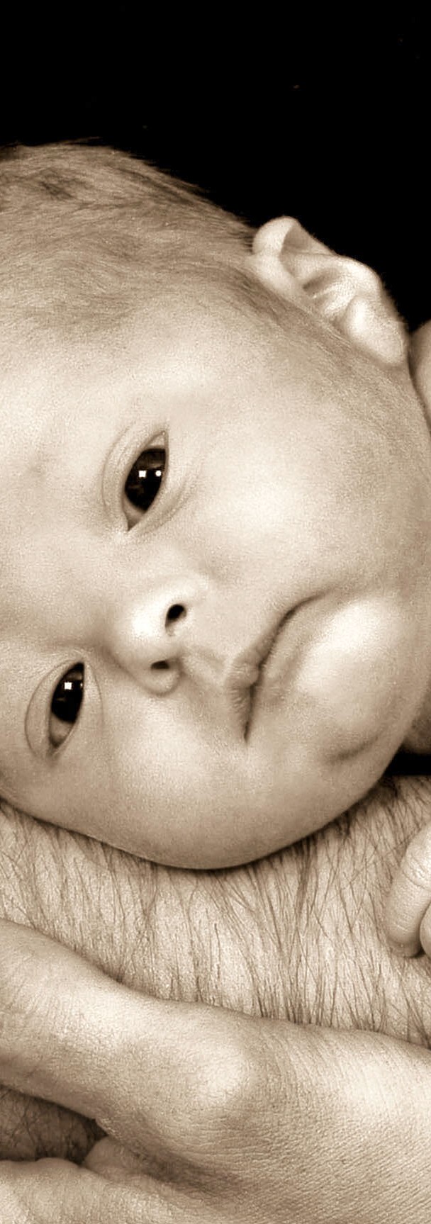 Babies 27