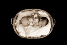 Babies 27