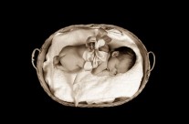 Babies 27