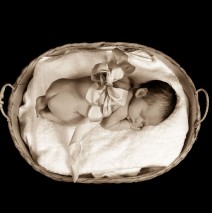 Babies 27