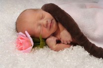 Babies 25