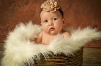 Babies 31